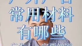 贫齿目主要包括哪些类别？ 3