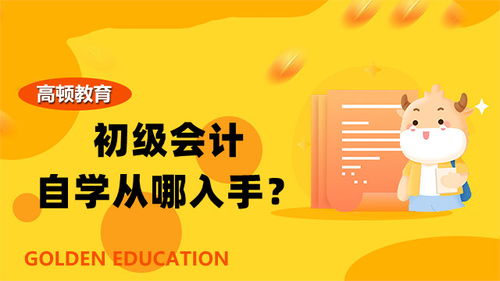 自学会计：零基础快速上手指南 2