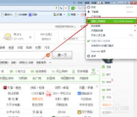 掌握技巧：如何在360浏览器中轻松清空最近浏览记录 2