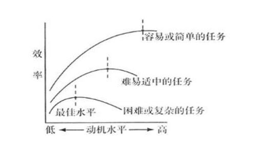 动机强度如何影响工作效率？ 2