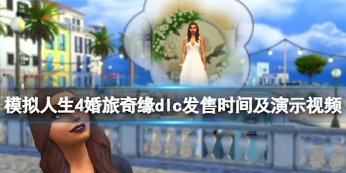 打造极致人生：完美攻略指南 1