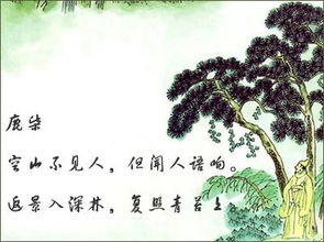 探寻幽静：揭秘“空山不见人，但闻人语响”的千古绝唱 4