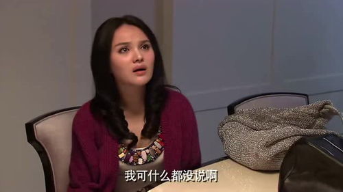 霍耀庭巧解与岳小年的家产纷争 3