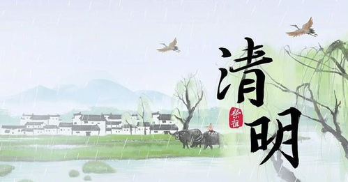 2023年清明节是哪一天？ 2