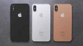 如何更改iPhone相册小组件封面照片 4