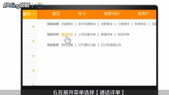 揭秘：轻松查询电信通话详单的实用方法 2