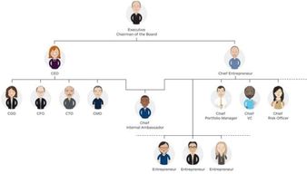 揭秘企业高层职位：CEO、CFO、COO各自代表什么关键角色？ 3