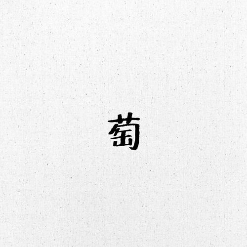 探索更多“萄”字两字组词，超越葡萄的奇妙词汇！ 4