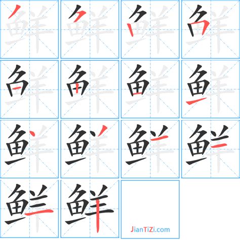 鲜字的正确笔顺 1
