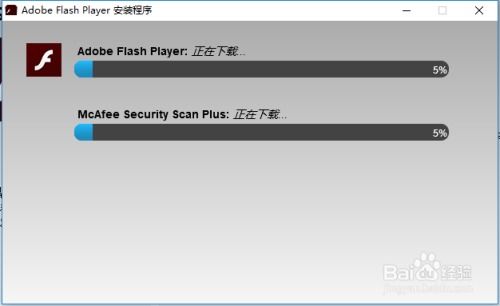 如何解决Adobe Flash Player因过期被阻止的问题？ 4