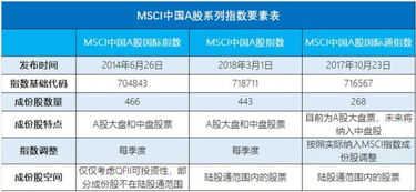 揭秘MSCI：全面解析其真正含义 3