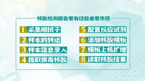 一键速查！龙江健康码核酸检测报告查询指南 2