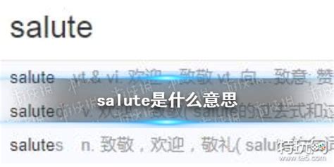 揭秘！'salute'一词的真正含义，你了解多少？ 4