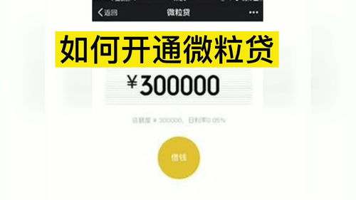 微信微粒贷开通全攻略：轻松解锁你的备用金库 2