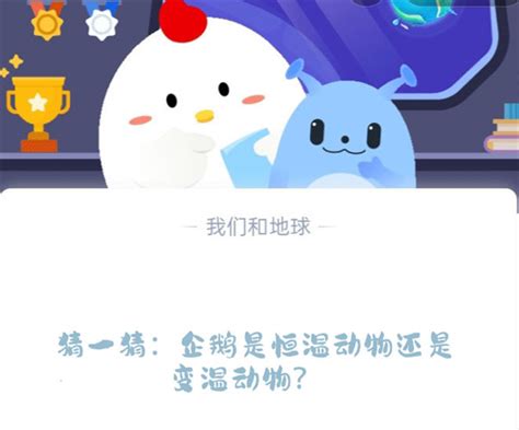 猜一猜：你知道企鹅是恒温动物还是变温动物？答案在蚂蚁庄园等你揭晓！ 4