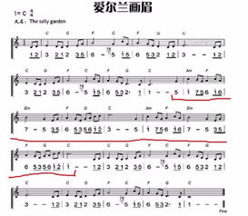 《爱尔兰画眉》口琴曲的简谱在哪里可以找到？ 2