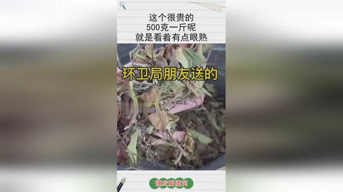 500克是否等于一斤？ 2