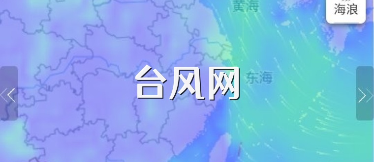 台风网