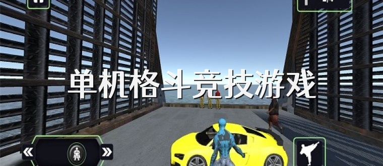 单机格斗竞技游戏