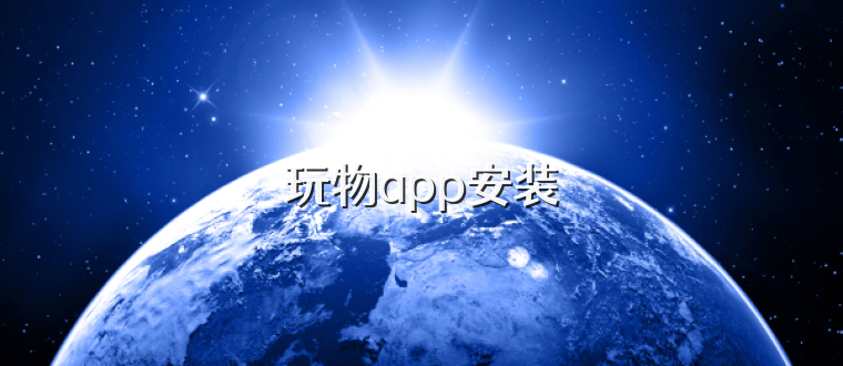 玩物app安装