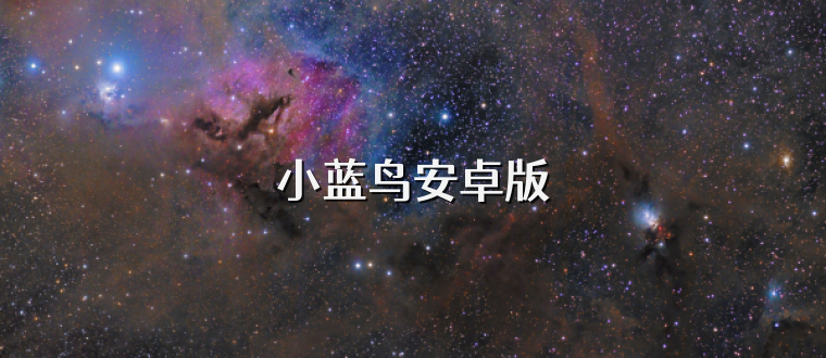 小蓝鸟安卓版