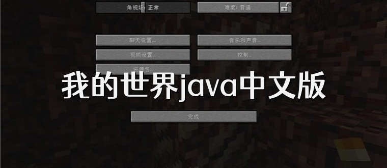 我的世界java中文版