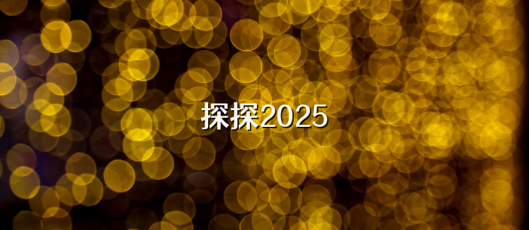 探探2025