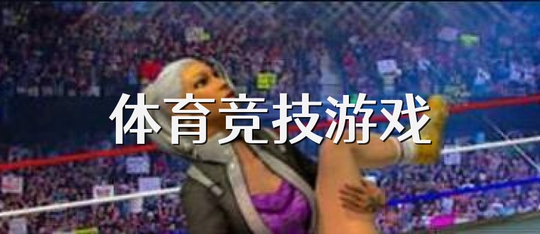 体育竞技游戏