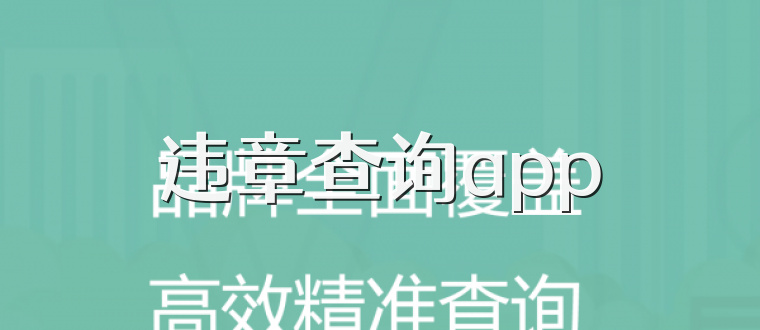 违章查询app
