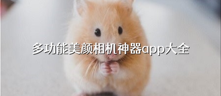 多功能美颜相机神器app大全