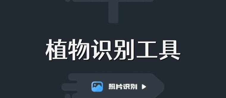 植物识别工具