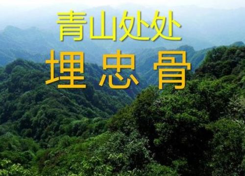 解读：青山处处皆安息，为何需马革裹尸归？ 3