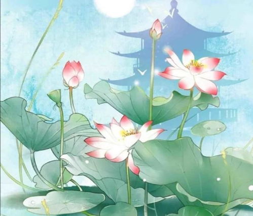 宠辱不惊：细品庭前花开花落之全诗篇名探寻 2