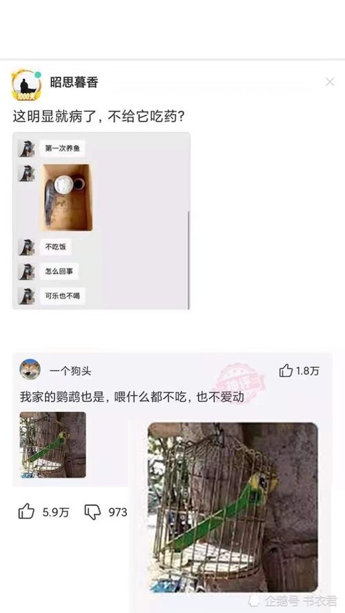 豪门小说网模板安装指南：轻松打造专属阅读空间 2