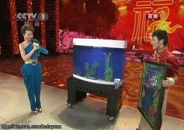 揭秘2011春晚：奇幻金鱼魔术背后的秘密 4