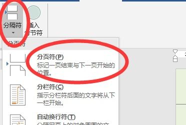 掌握Word文档：轻松设置页眉页脚、分隔符与分页符技巧 1