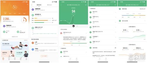 揭秘：如何轻松查看小米体脂秤的全面数据 2