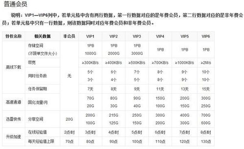 揭秘迅雷VIP等级特权与晋升攻略：普通会员如何进阶享福利？ 2