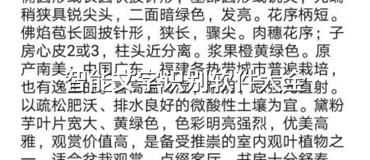 智能文字识别软件大全