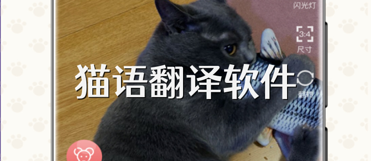 猫语翻译软件