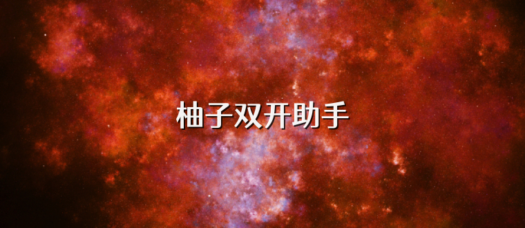 柚子双开助手