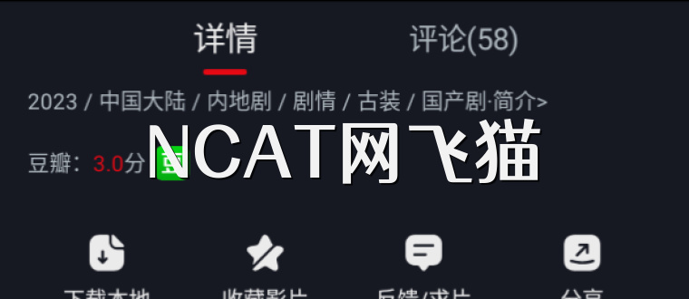 NCAT网飞猫