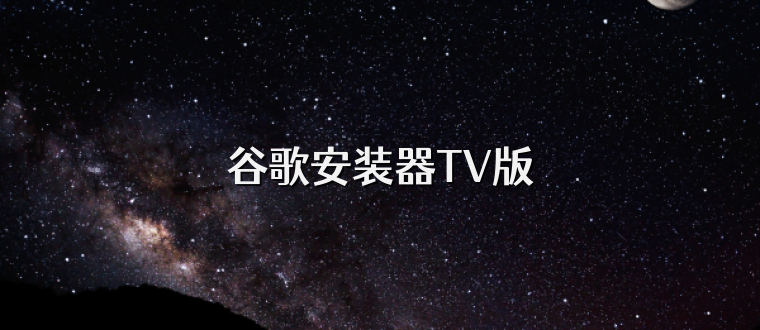 谷歌安装器TV版