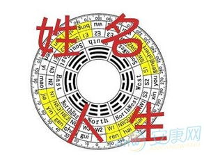 揭秘323数字的神秘吉凶寓意 1