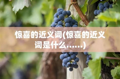 探寻‘惊喜’的对立面：何为它的反义词？ 3