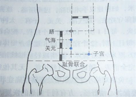 婴儿世界 —— 探索子宫穴的奥秘 3