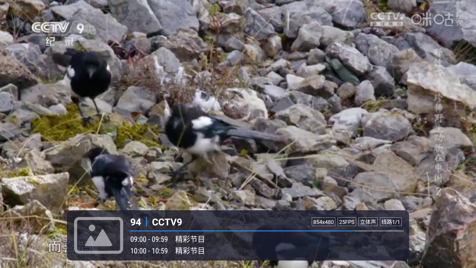 嘉庆TV直播免费观看 截图2