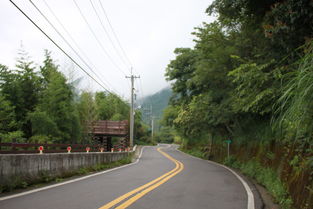 揭秘道路标识：G为国道，S为省道，X为县道，Y竟是乡道！ 4