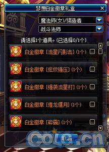 DNF玩家必看：你知道游戏中都有哪些徽章吗？ 3
