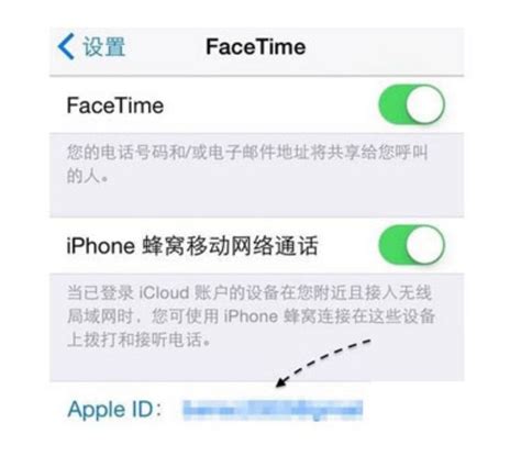 iPad Mini变身通话神器：轻松学会打电话技巧 5